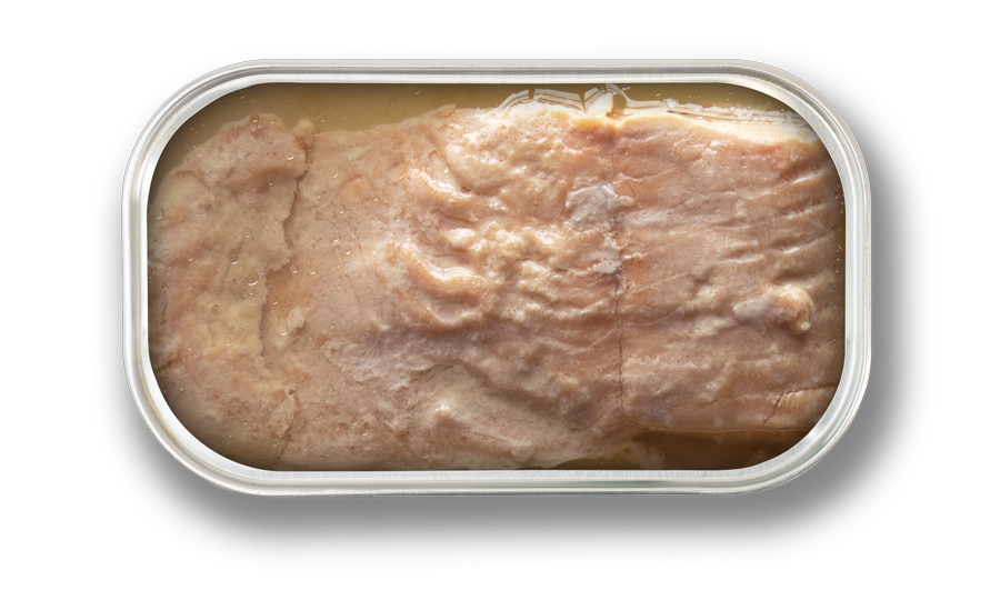 RR-125-filetes-de-salmon